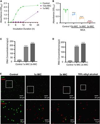 Metabolomics-Driven Exploration of the Antibacterial Activity and Mechanism of 2-Methoxycinnamaldehyde